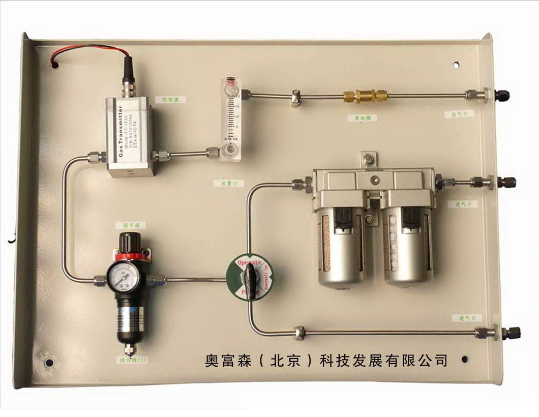SP217型在线式氢中氧分析仪