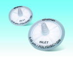 Polydisc GW